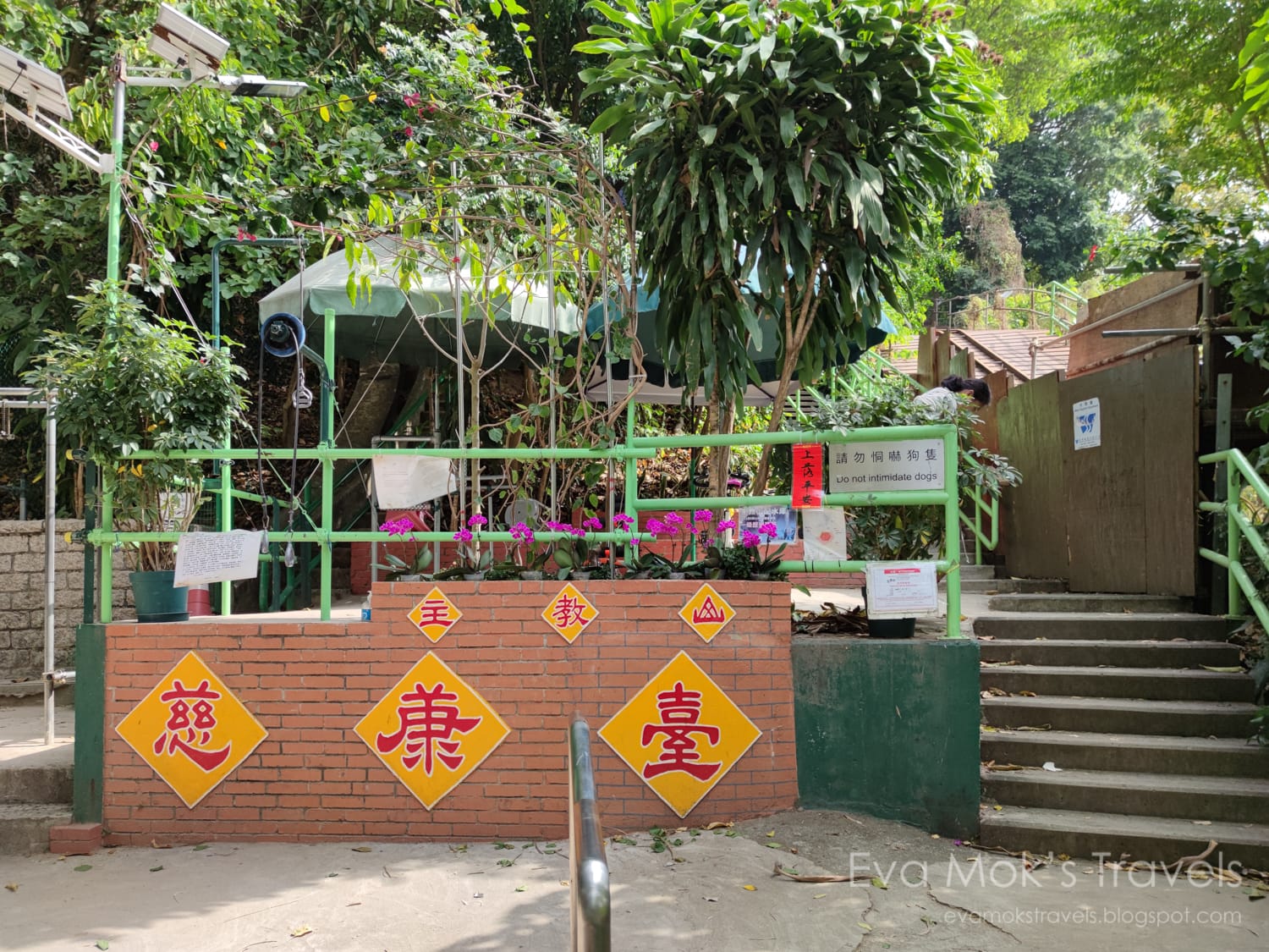 香港主教山