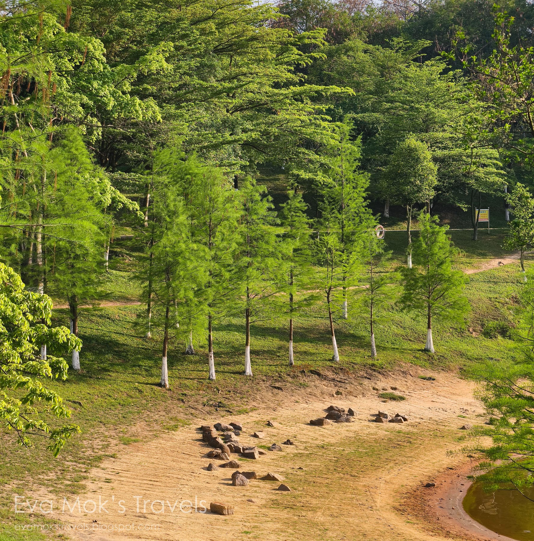 溪流背坡村