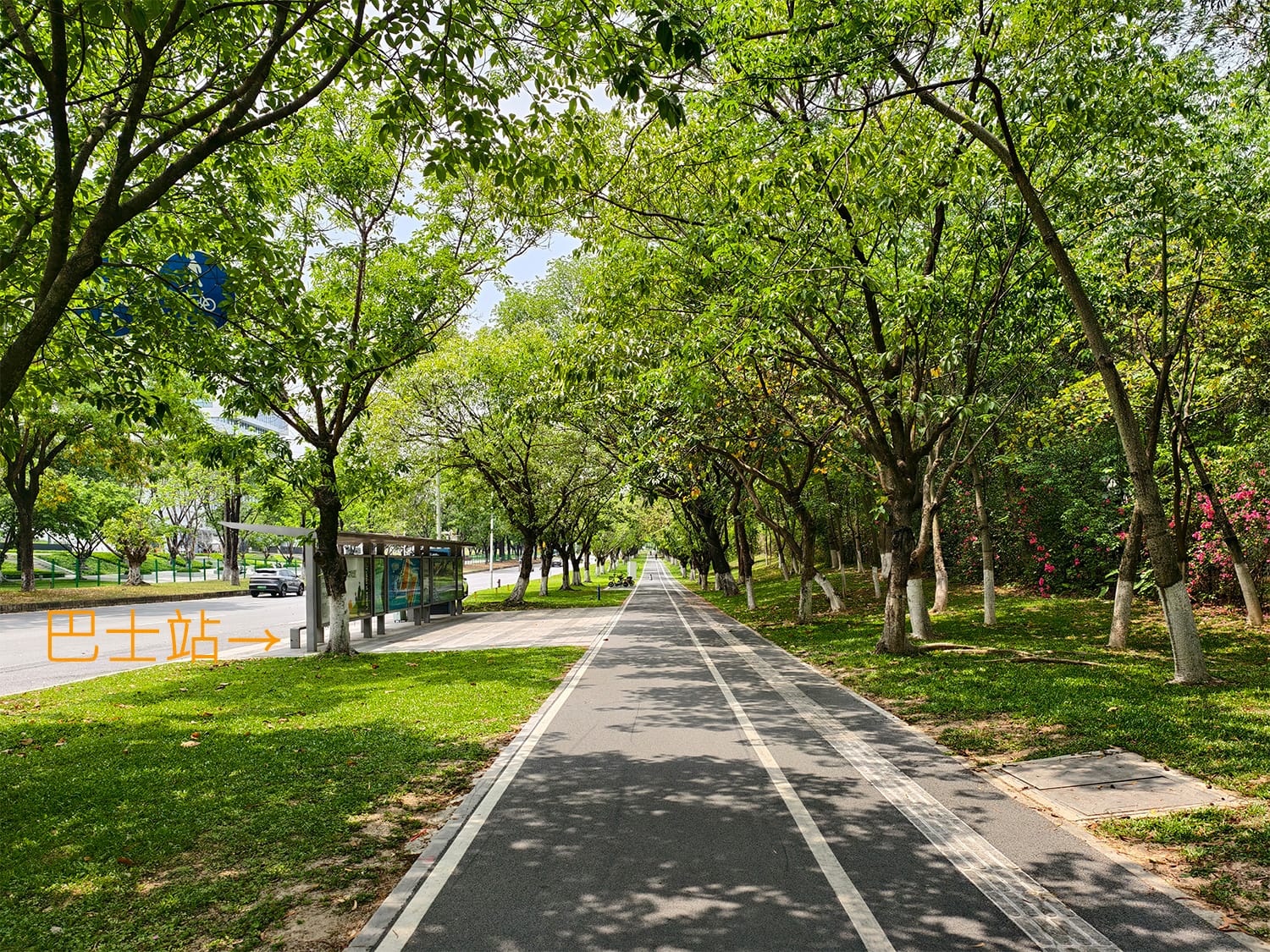 東莞珠海巴士