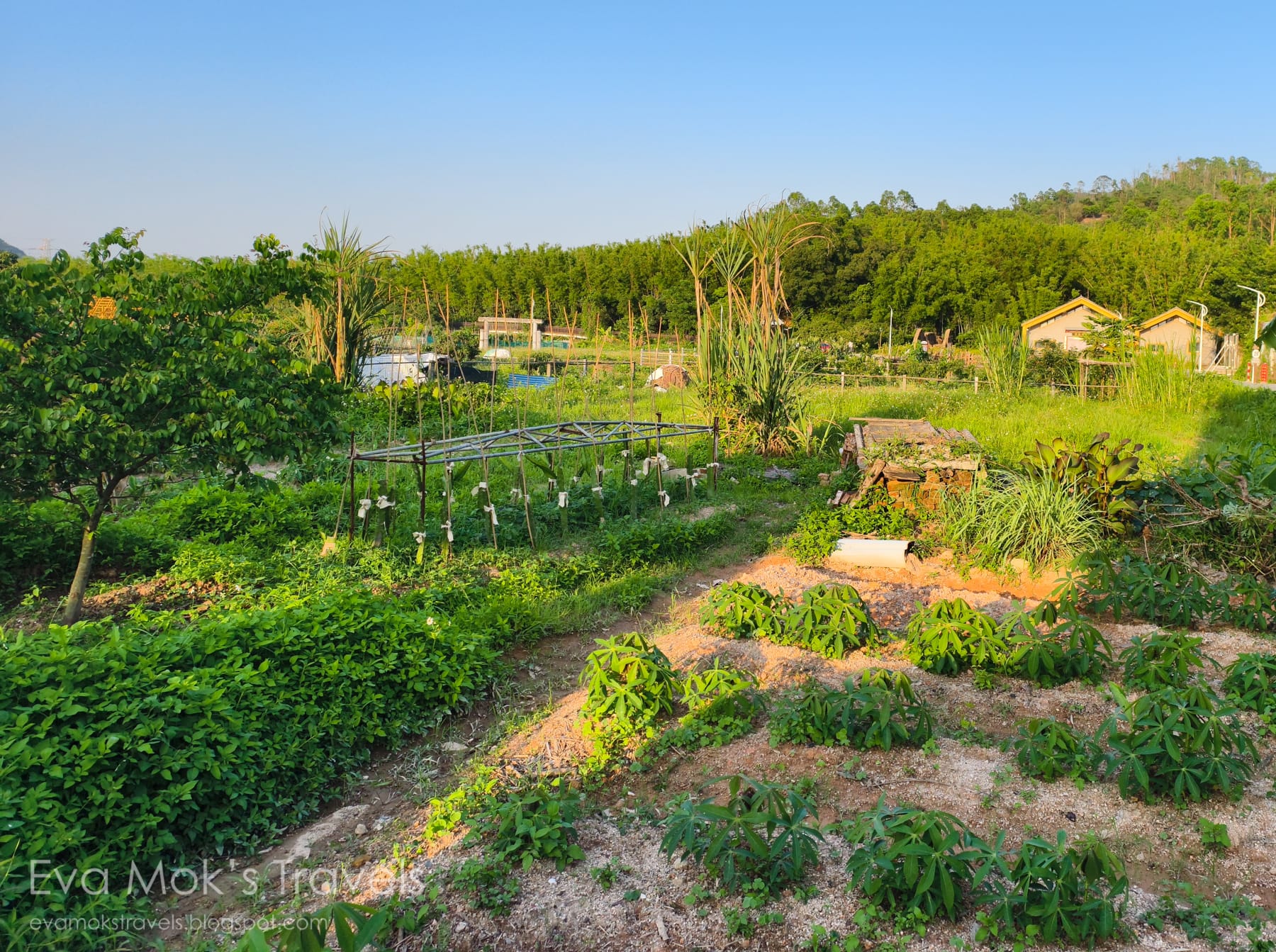 斗門瀝岐新村