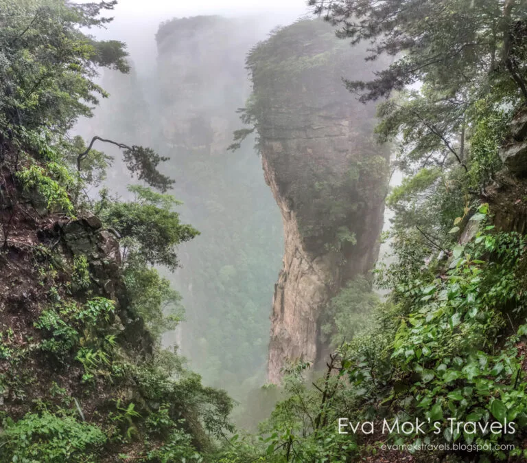 澳之旅張家界五天遊 (上) – 阿凡達山、金鞭溪、魅力湘西