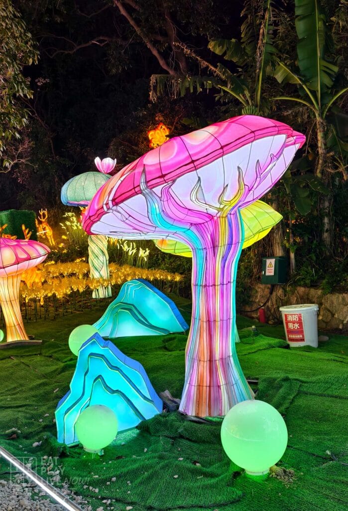 唐家灣共樂燈會