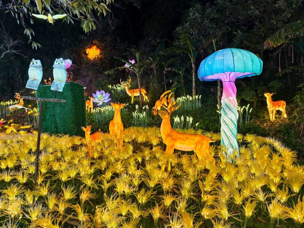 唐家灣共樂燈會