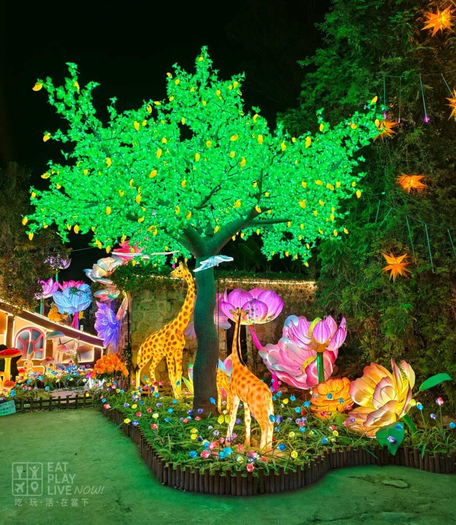 唐家灣共樂燈會