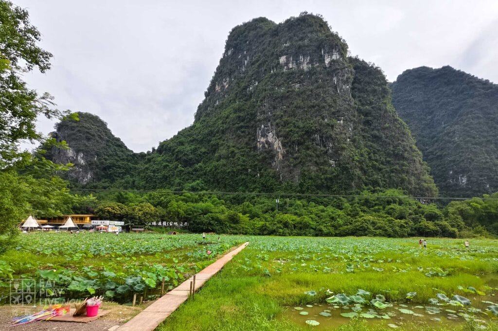 十里畫廊蝴蝶莊園